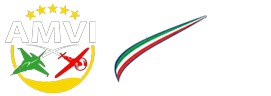 AMVI Aeronautica Militare Virtuale Italiana